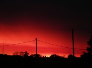 Alerrta Naranja (10)