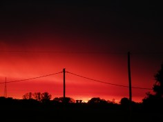 Alerrta Naranja (10)