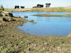 Copia de SEquía 2010-2011 053