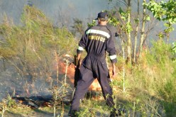 Incendio Pintado 019