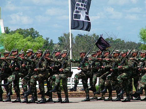 Batallón Ing. Combate Nº2