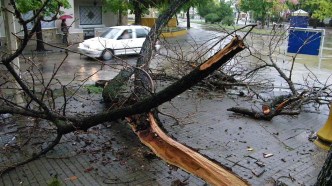 Copia de lluvias 23-03-11 005