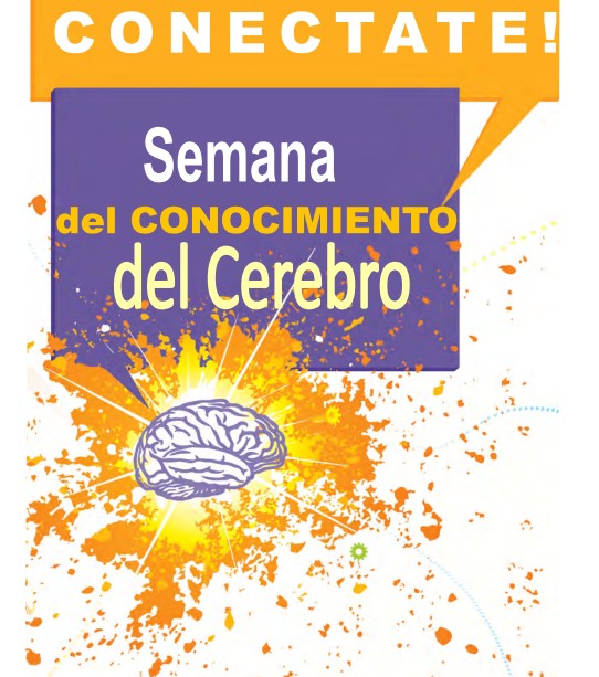 semana del cerebro ii