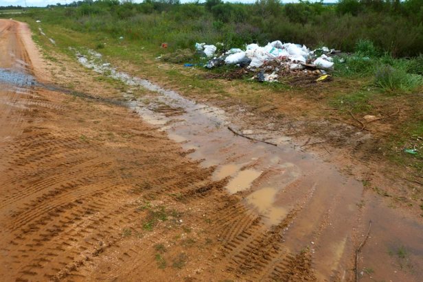 1395395_696206720391449_262326031_n