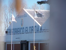 frigorífico (8) (1)