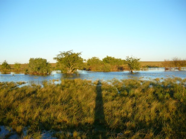 Imagen del arroyo desbordado, tomada por un turista. Fuente: Google Earth.