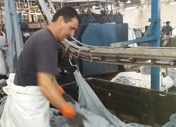 curtiembre 1 - copia