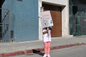 DSC_7033 (FILEminimizer)