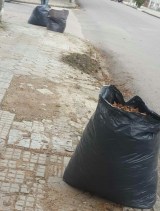 WhatsApp-Image-20160512