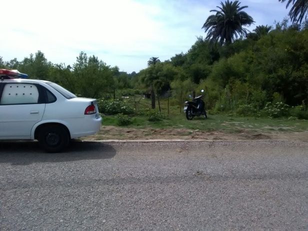 whatsapp-image-2017-01-05-at-10-54-49