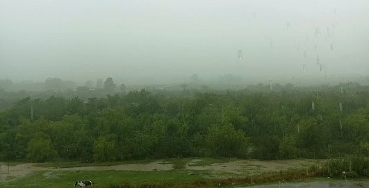 lluvias