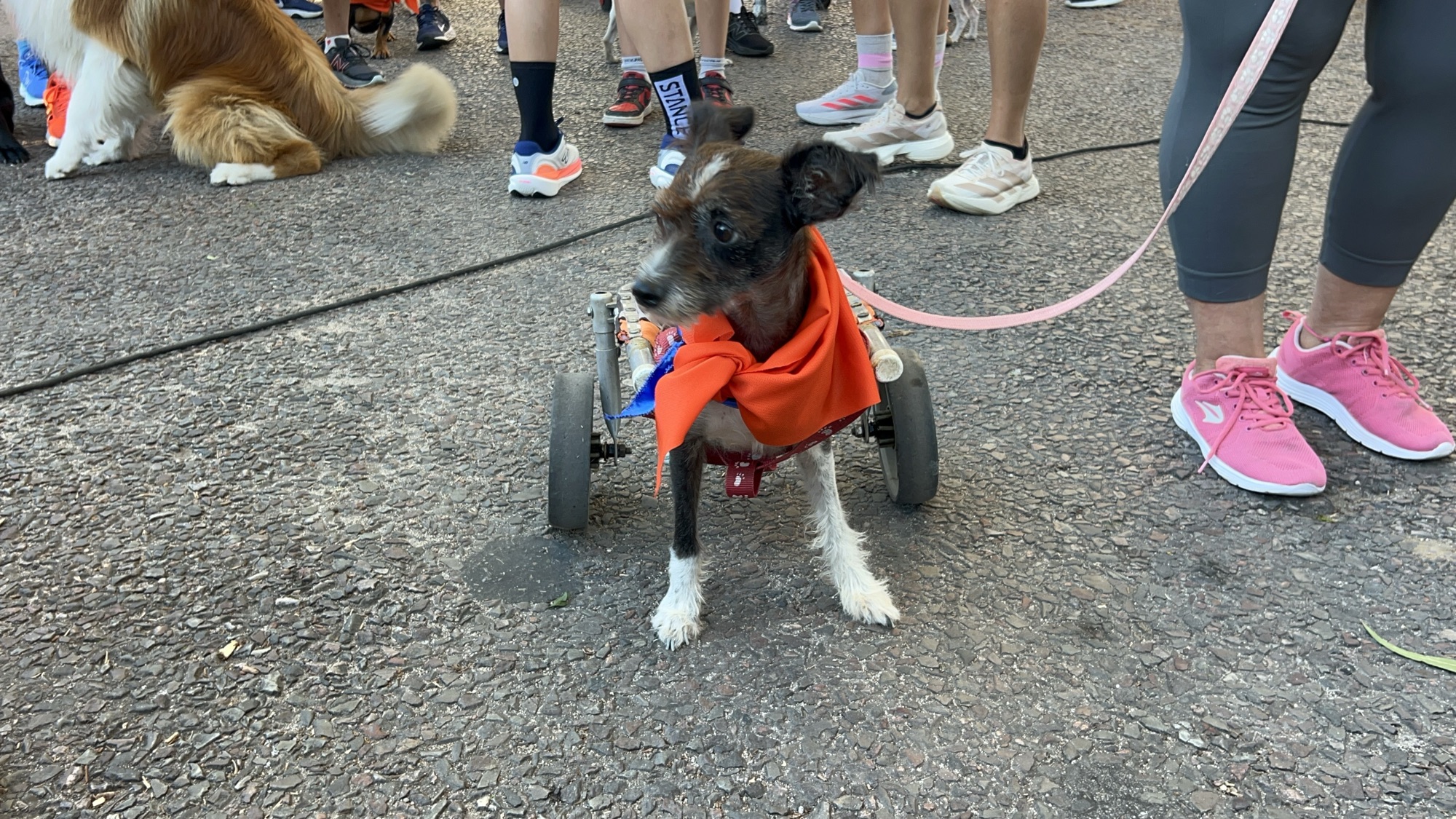 A toda CorreCan: mirá las imágenes y los protagonistas